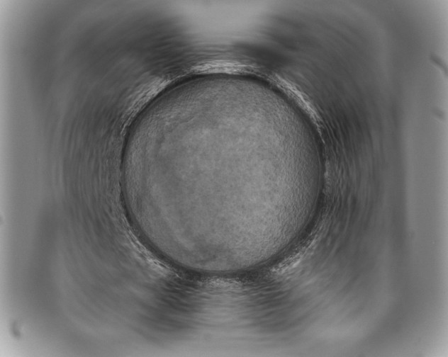 X0000097890529200803281248