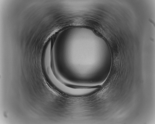 X0000097890530200803281248