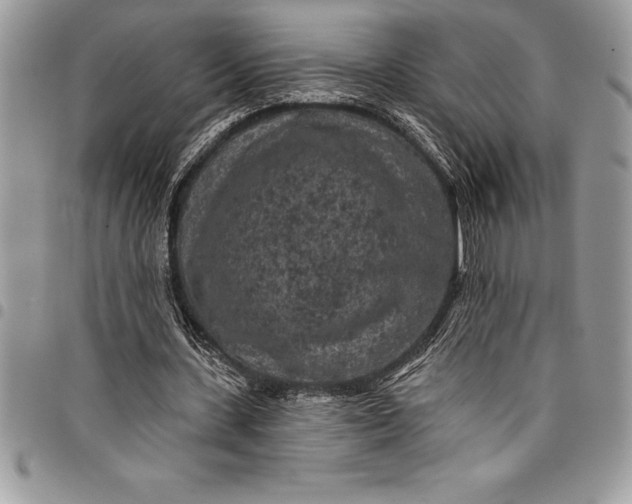 X0000097890531200803281248