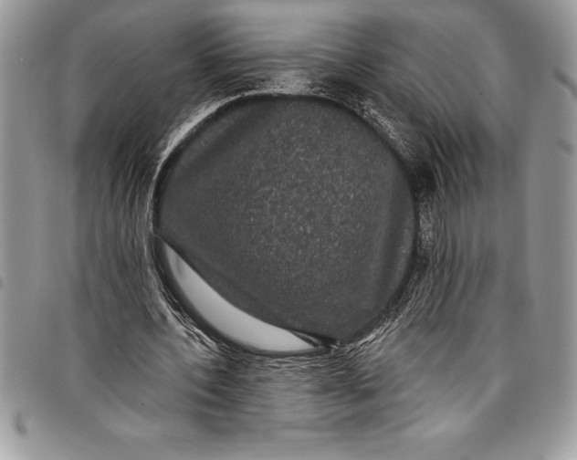 X0000097890532200803281248