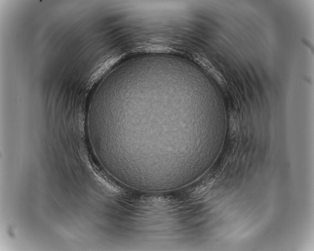 X0000097890533200803281248