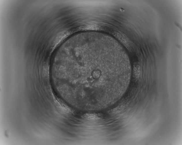 X0000097890534200803281248