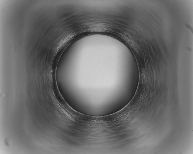 X0000097890535200803281248