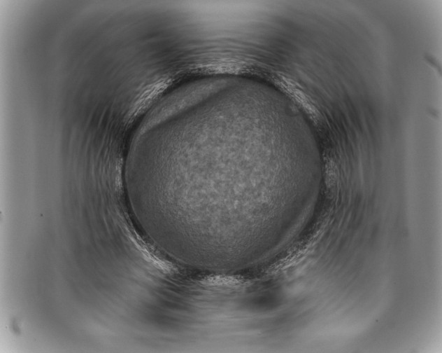 X0000097890537200803281248