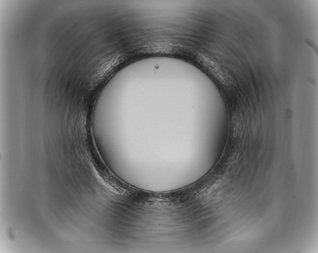 X0000097890538200803281248