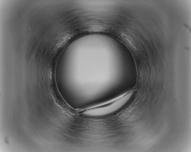 X0000097890539200803281248