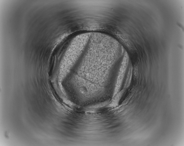 X0000097890540200803281248