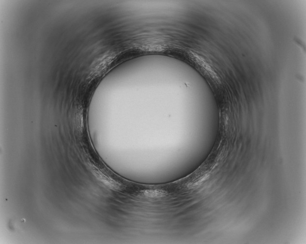 X0000097890541200803281248