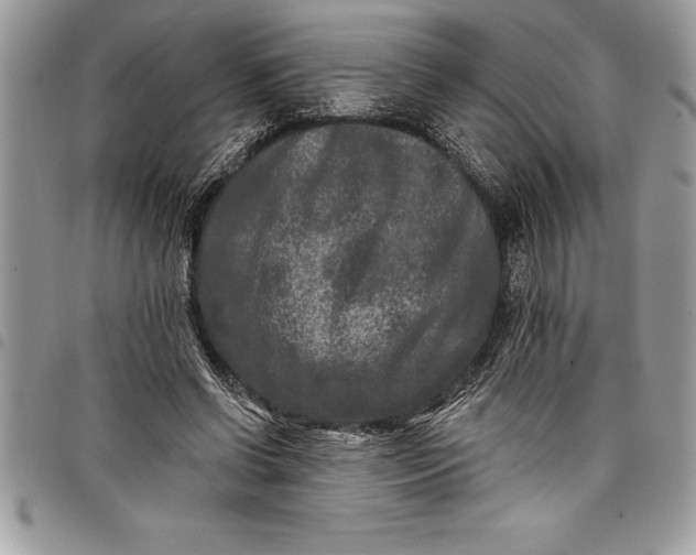 X0000097890542200803281248