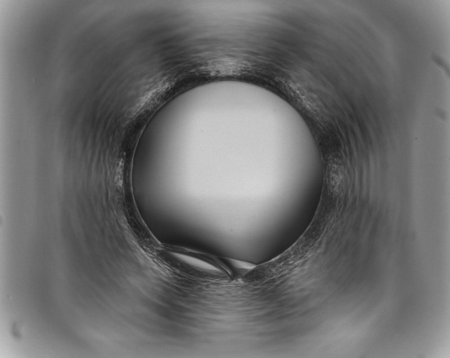 X0000097890543200803281248