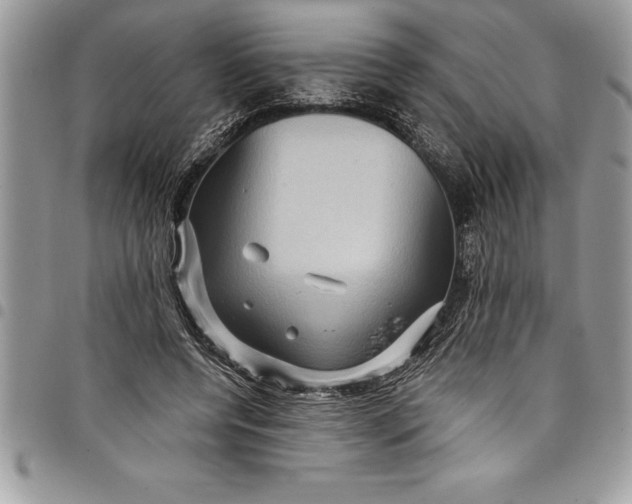 X0000097890544200803281248