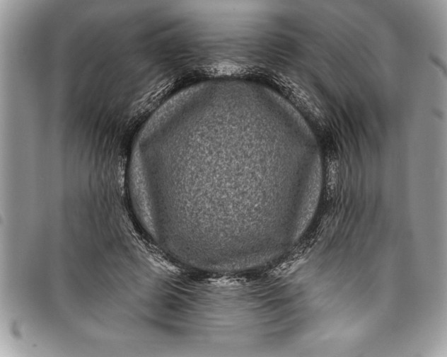 X0000097890545200803281248