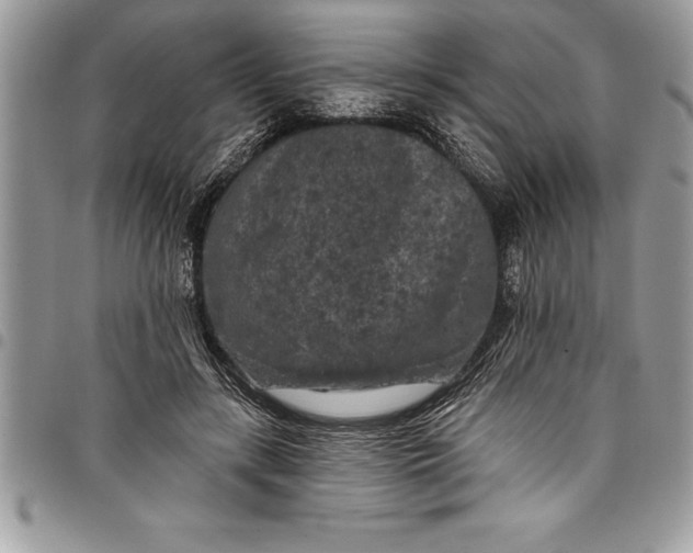 X0000097890547200803281248