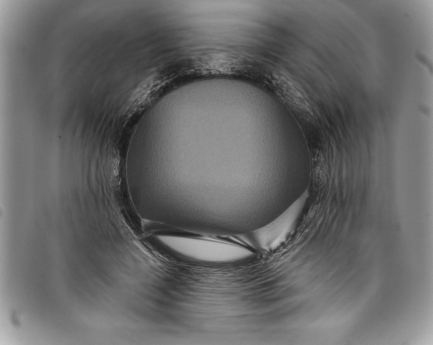 X0000097890548200803281248