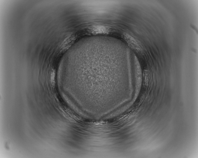 X0000097890550200803281248