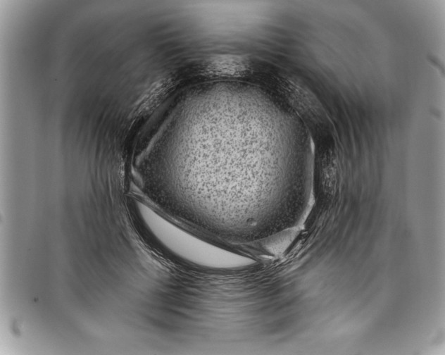 X0000097890552200803281248