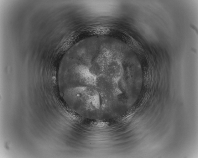 X0000097890553200803281248