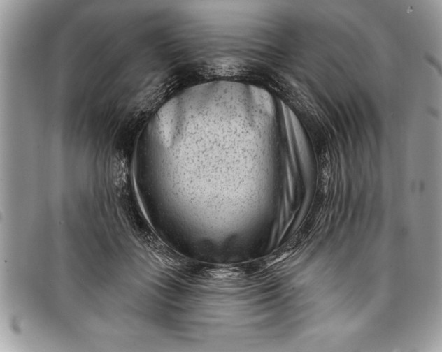 X0000097890555200803281248