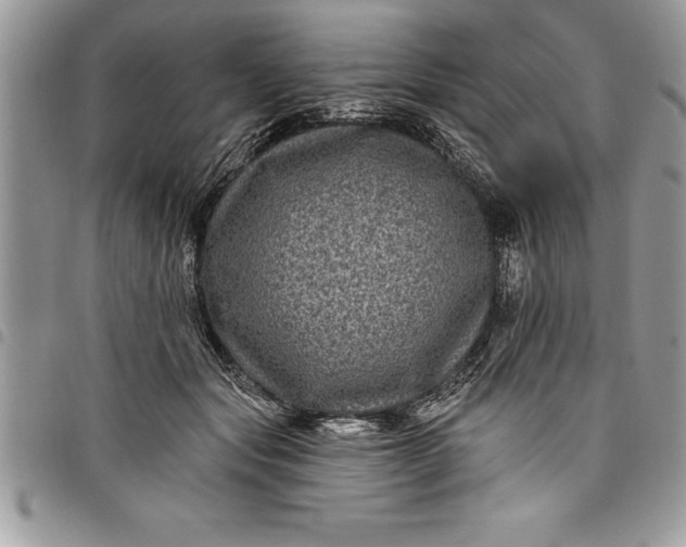 X0000097890557200803281248