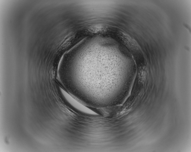 X0000097890558200803281248