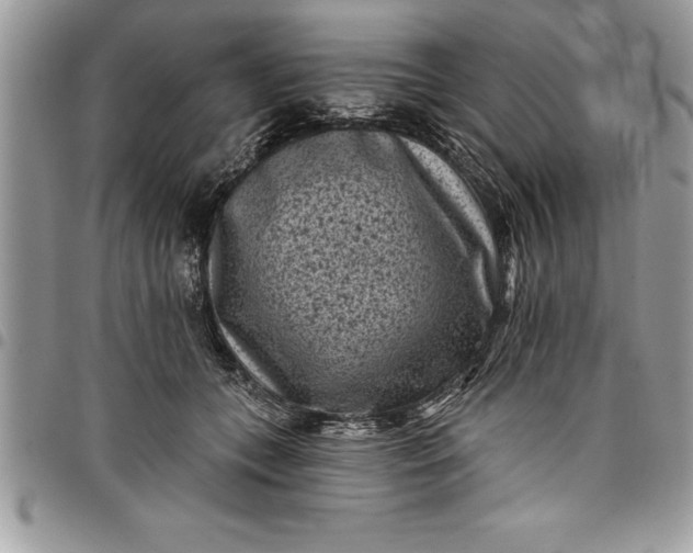 X0000097890559200803281248