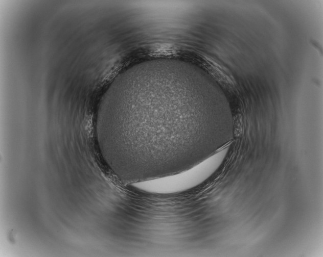 X0000097890560200803281248