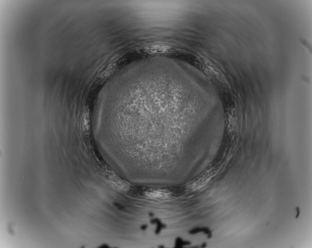 X0000097890561200803281248