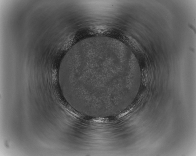 X0000097890563200803281248