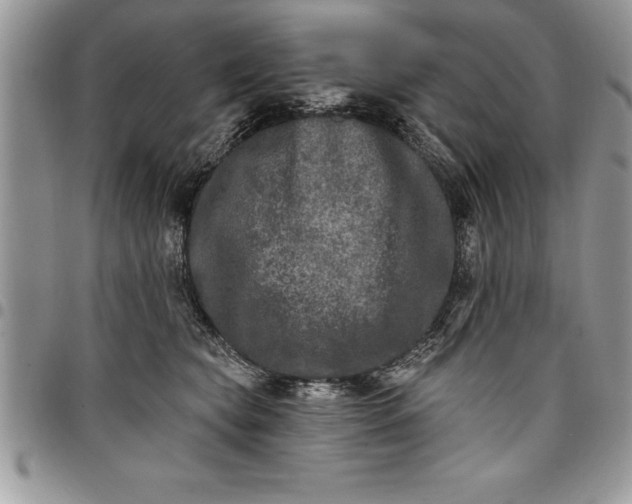 X0000097890565200803281248