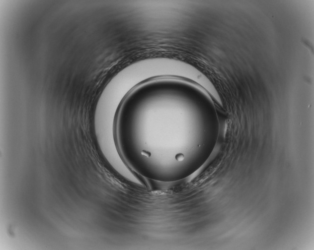 X0000097890566200803281248