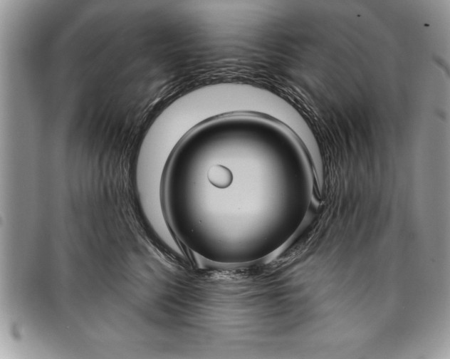 X0000097890568200803281248