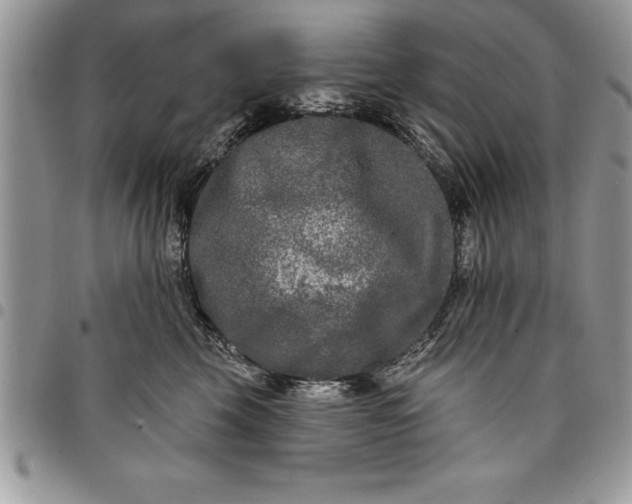 X0000097890569200803281248