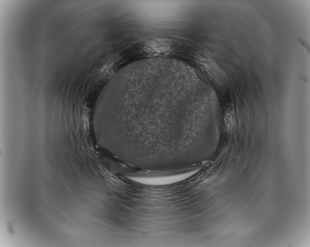 X0000097890570200803281248