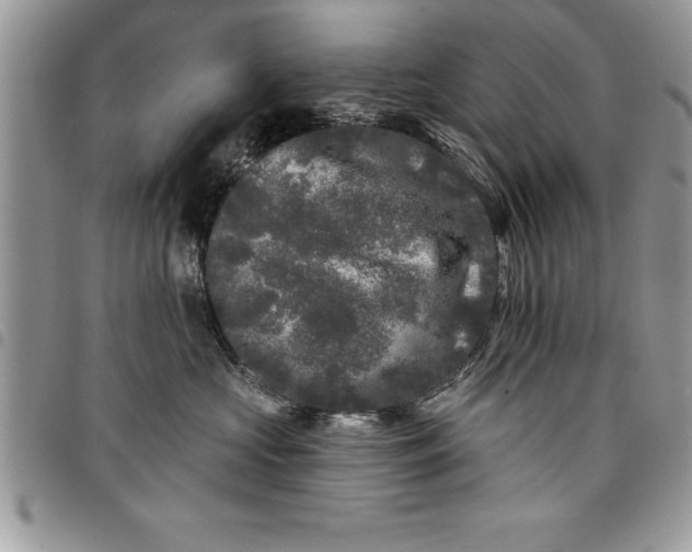 X0000097890573200803281248