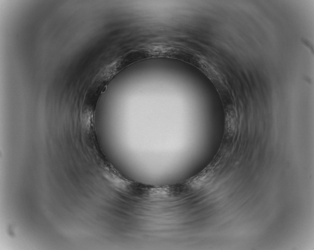 X0000097890574200803281248