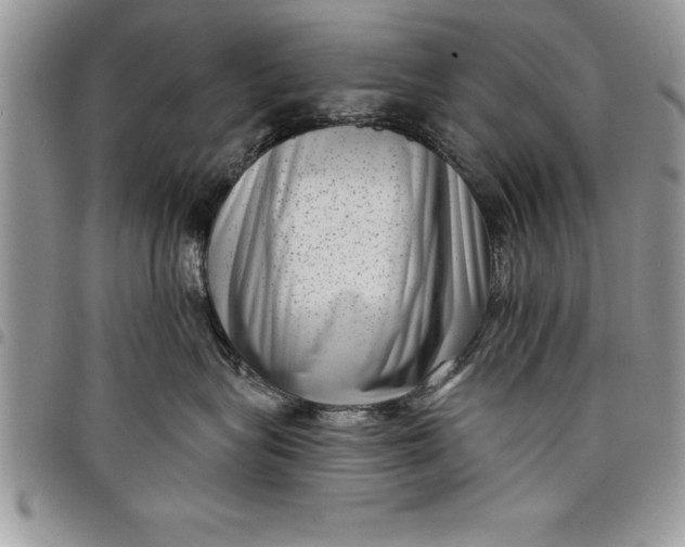 X0000097890575200803281248