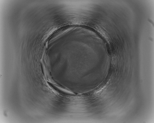 X0000097890577200803281248