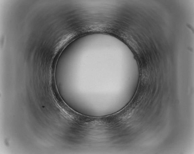 X0000097890578200803281248