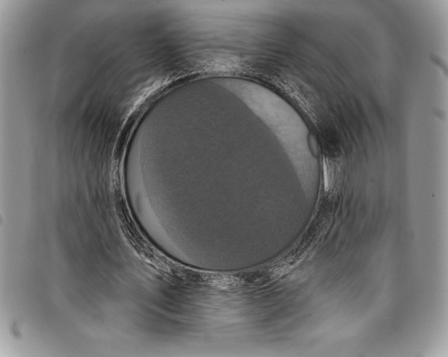 X0000097890579200803281248