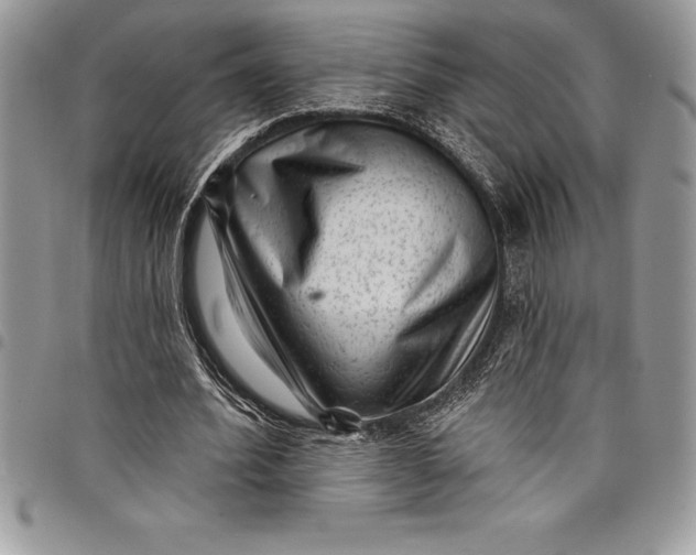 X0000097890580200803281248