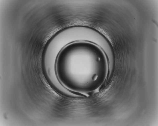 X0000097890581200803281248