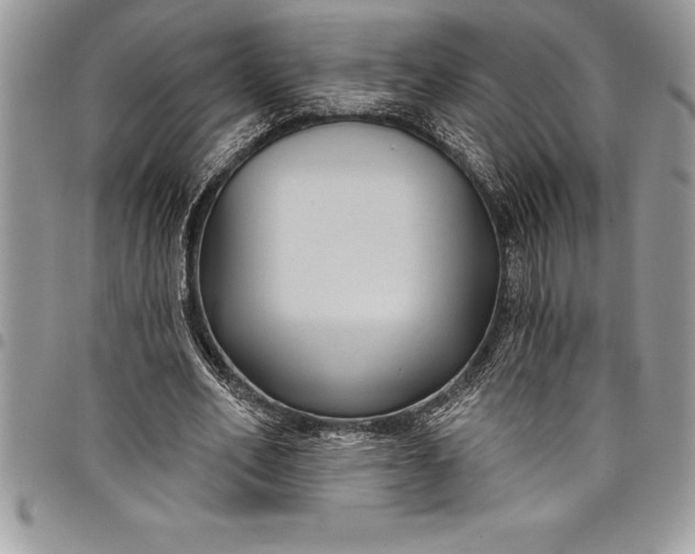 X0000097890582200803281248