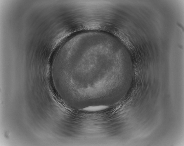 X0000097890583200803281247