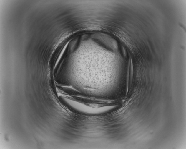 X0000097890584200803281247