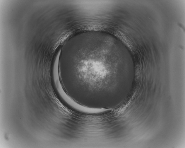 X0000097890585200803281247