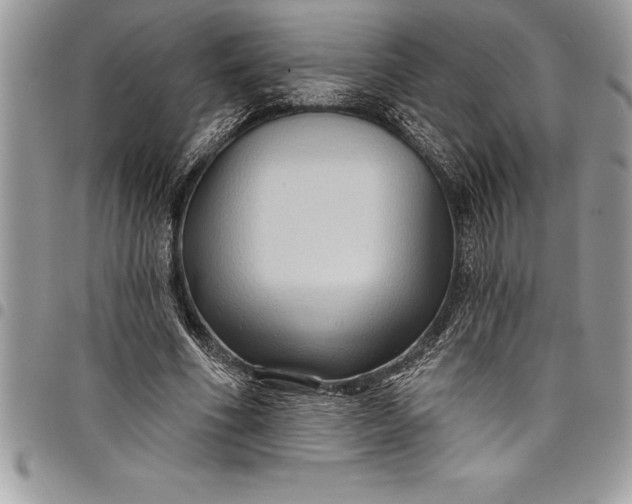 X0000097890586200803281247