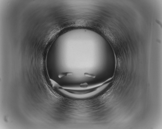 X0000097890588200803281247