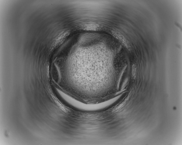 X0000097890589200803281247