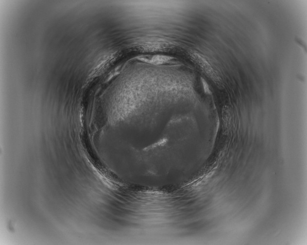 X0000097890590200803281247