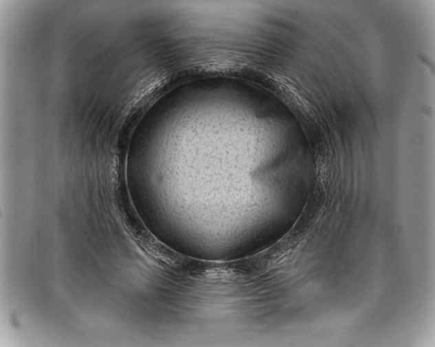 X0000097890591200803281247